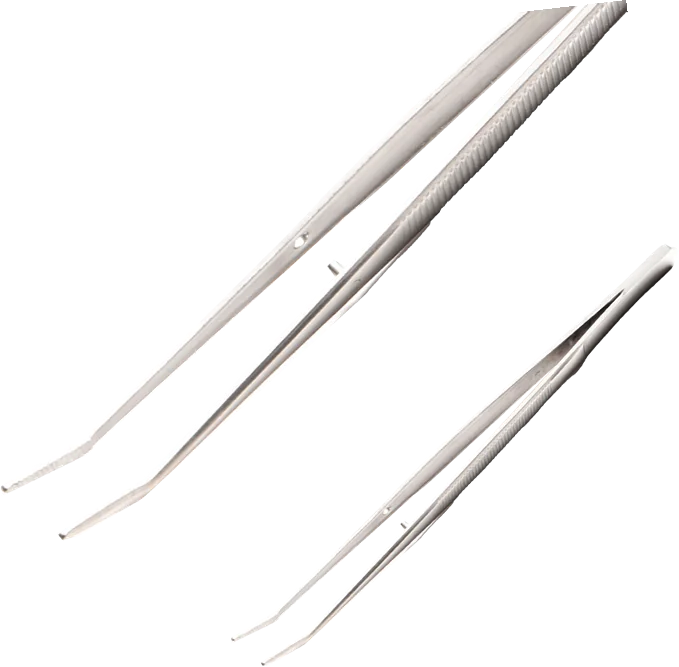 Forceps – catalogue image