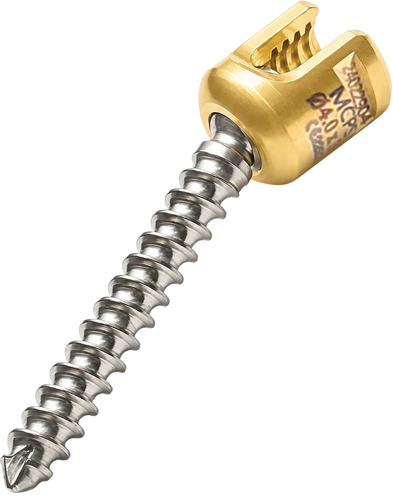 Polyaxial Screw