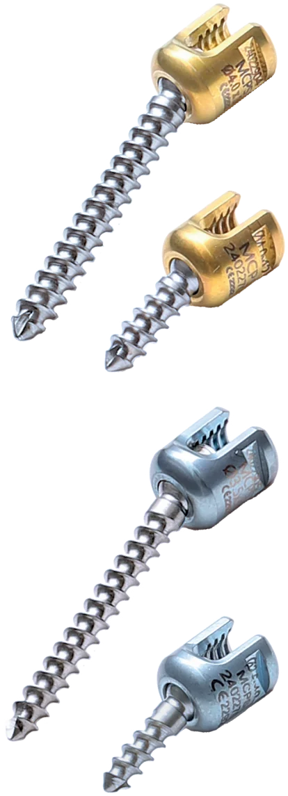 Polyaxial Screw – catalogue image