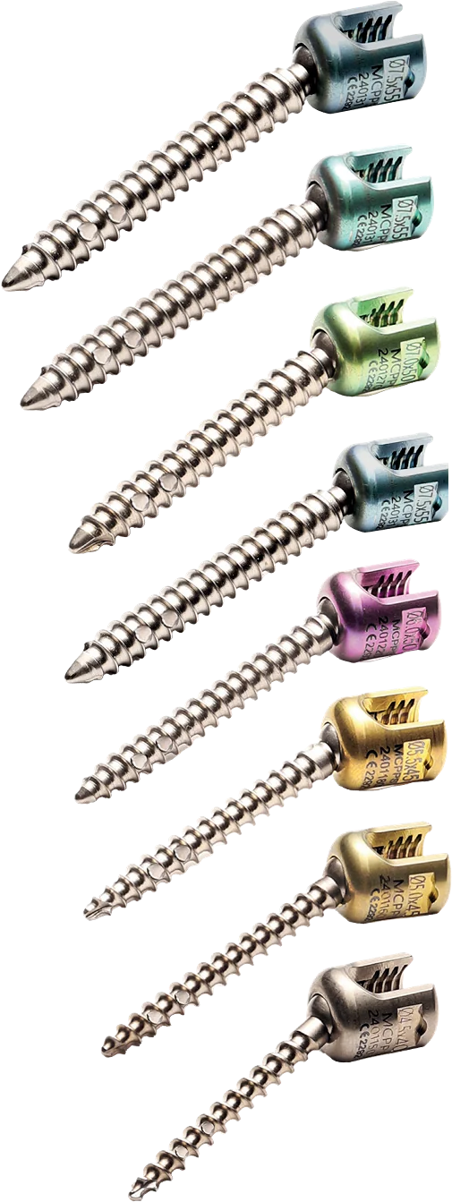 Multiaxial Screw Cement Type – catalogue image