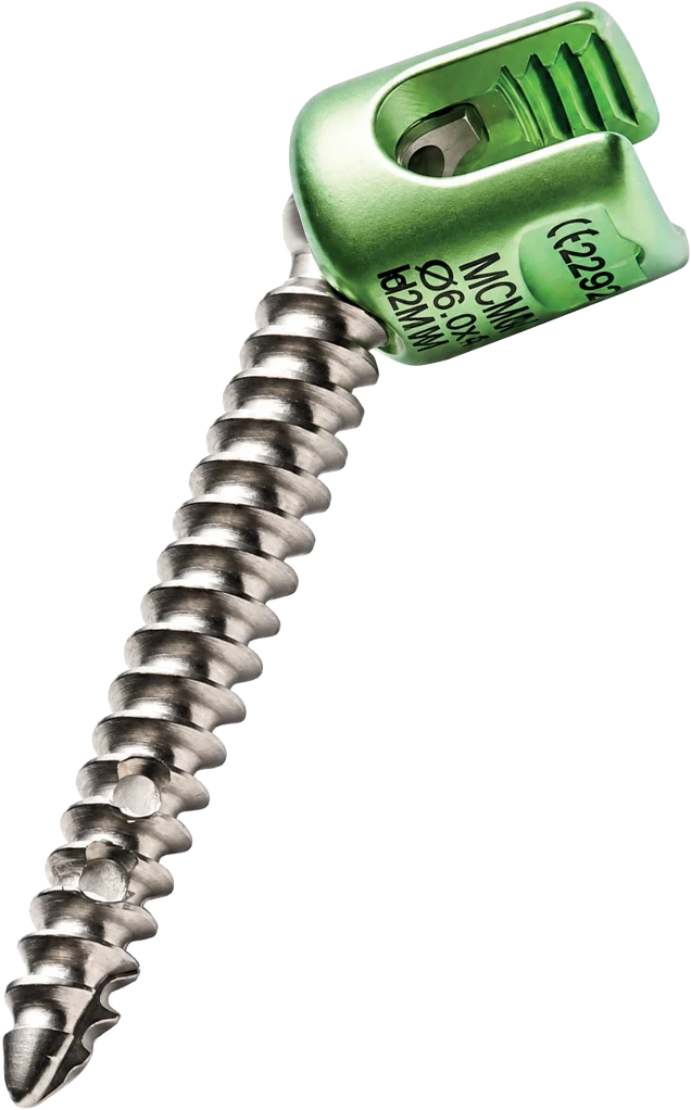 Multifunctional Vertebral Screw