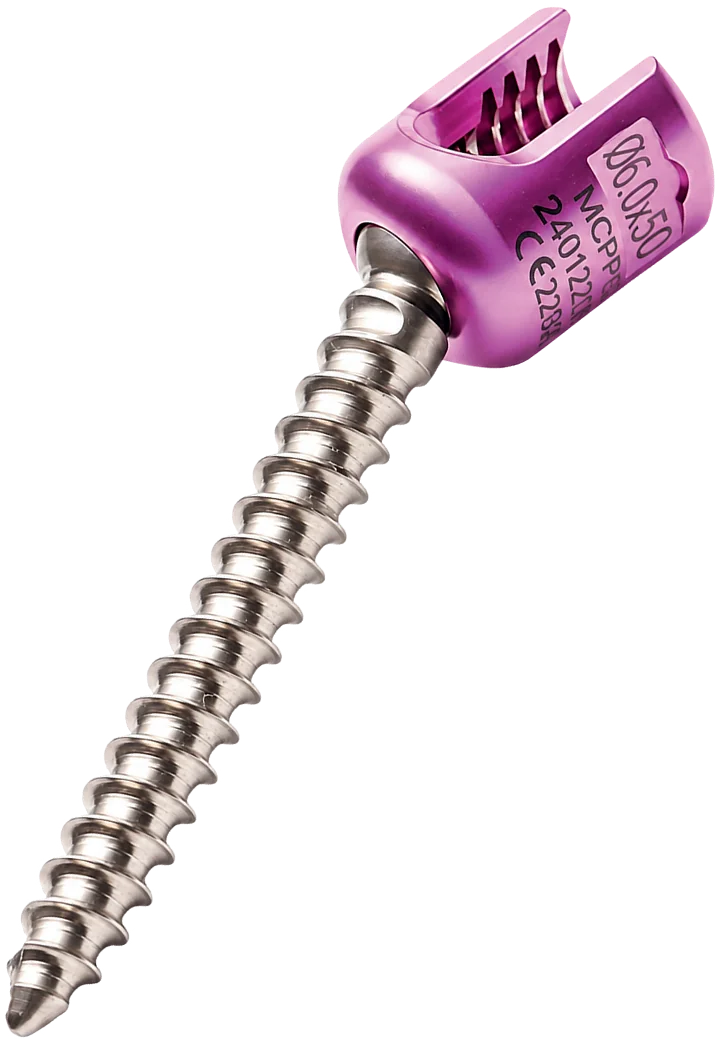 Posterior Polyaxial Screw – catalogue image